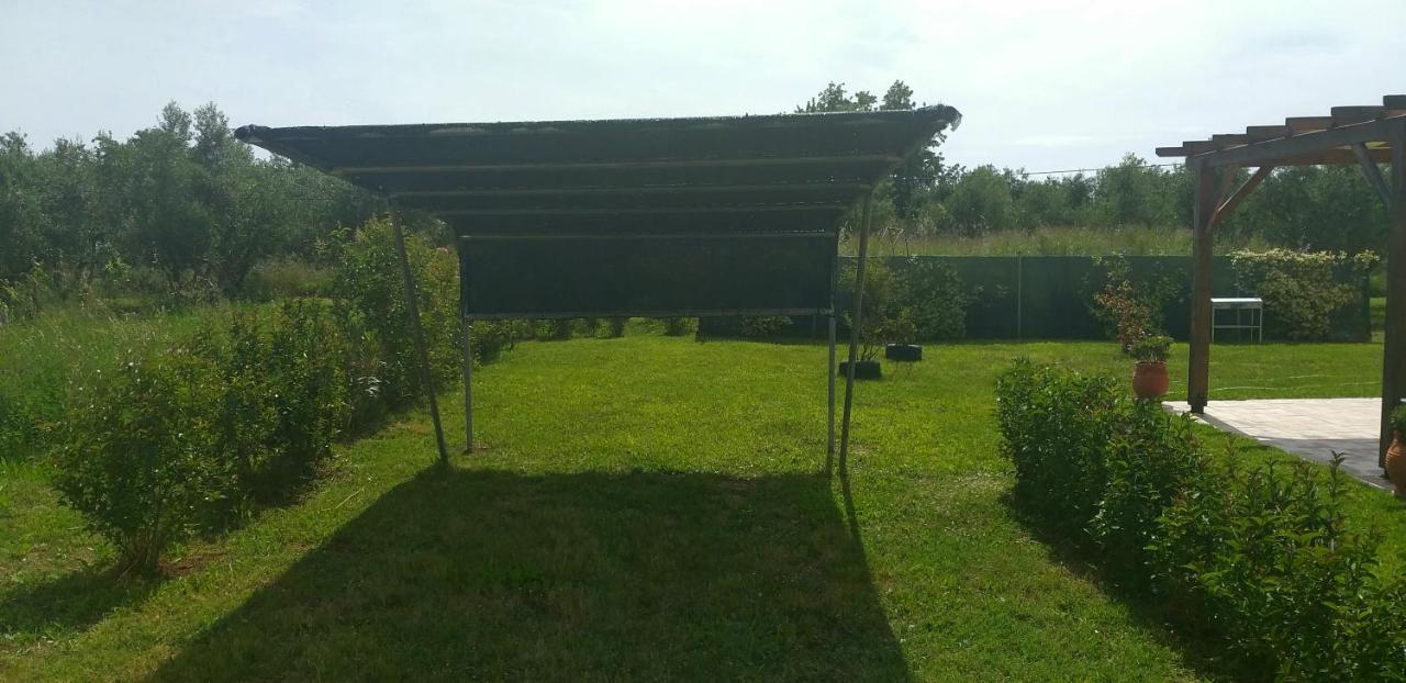 Villa Katerina Almyros Παραλία Αλμυρού Εξωτερικό φωτογραφία